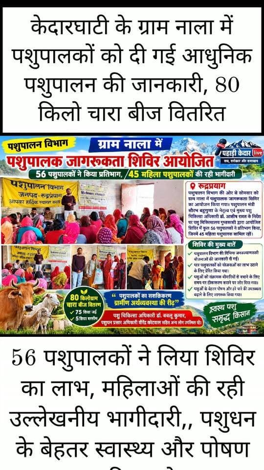 केदारघाटी के ग्राम नाला में पशुपालकों को दी गई आधुनिक पशुपालन की जानकारी, 80 किलो चारा बीज वितरित,,
56 पशुपालकों ने लिया शिविर का लाभ, महिलाओं की रही उल्लेखनीय भागीदारी,, पशुधन के बेहतर स्वास्थ्य और पोषण पर दिया जोर,,
रुद्रप्रयाग। केदारघाटी के ग्राम नाला में पशुपालन विभाग की ओर से आयोजित जागरूकता शिविर में पशुपालकों को पशुधन के बेहतर रखरखाव, संतुलित पोषण और विभागीय योजनाओं की जानकारी दी गई। सोमवार, 12 अक्टूबर को पशु चिकित्सालय गुप्तकाशी के तत्वावधान में आयोजित शिविर में कुल 56 पशुपालकों ने प्रतिभाग किया, जिनमें 45 महिलाएं शामिल रहीं। शिविर के दौरान पशुओं के लिए हरे चारे की उपलब्धता बढ़ाने के उद्देश्य से 80 किलोग्राम चारा बीज भी वितरित किया गया।
पशुपालन मंत्री सौरभ बहुगुणा के नेतृत्व और मुख्य पशु चिकित्सा अधिकारी डॉ. आशीष रावत के निर्देश पर आयोजित शिविर में पशुपालकों को विभाग की विभिन्न जनकल्याणकारी योजनाओं से अवगत कराया गया। अधिकारियों ने पात्र पशुपालकों से योजनाओं का लाभ उठाने की अपील करते हुए पशुधन की देखभाल और पशुपालन को आजीविका का बेहतर माध्यम बनाने के लिए प्रेरित किया।
शिविर में पशुओं को संक्रामक बीमारियों से बचाने के लिए समय पर टीकाकरण कराने की आवश्यकता पर विशेष जोर दिया गया। पशुपालकों को पशुओं के स्वास्थ्य की नियमित निगरानी करने, उचित आहार देने और हरे चारे की उपलब्धता सुनिश्चित करने के संबंध में भी जानकारी दी गई।
पशु चिकित्सा अधिकारी डॉ. बबलू कुमार ने कहा कि पशुओं के बेहतर स्वास्थ्य और उत्पादन के लिए संतुलित पोषण बेहद जरूरी है। इसी उद्देश्य से शिविर में 75 किलोग्राम जई और पांच किलोग्राम बरसीम का बीज वितरित किया गया। उन्होंने कहा कि पशुपालकों को जागरूक कर पशुधन के स्वास्थ्य एवं पोषण में सुधार लाना और ग्रामीण क्षेत्रों में पशुपालन को अधिक लाभकारी बनाना विभाग की प्राथमिकताओं में शामिल है।
शिविर में नाला के सभासद और पूर्व ग्राम प्रधान सहित स्थानीय जनप्रतिनिधियों ने भी भागीदारी की। इस अवसर पर पशु चिकित्सा अधिकारी डॉ. बबलू कुमार, पशुधन प्रसार अधिकारी वीरेंद्र कोटवाल समेत अन्य लोग मौजूद रहे।
