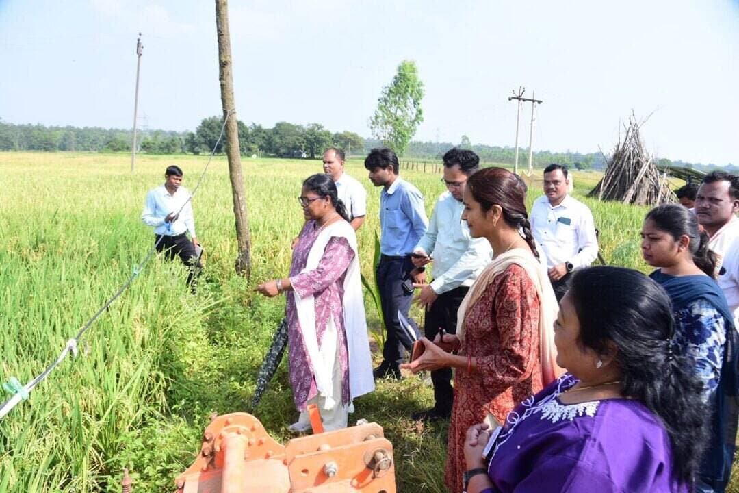 स्कूली विद्यार्थियों के कृषि नवाचारों की कलेक्टर ने की सराहना
कलेक्टर श्रीमती नूपुर राशि पन्ना ने फरसगांव विकासखंड के शासकीय उच्चतर माध्यमिक विद्यालय शंकरपुर का निरीक्षण कर कृषि संकाय के विद्यार्थियों द्वारा की जा रही कृषि गतिविधियों का अवलोकन किया।
उन्होंने विद्यार्थियों द्वारा श्रीविधि से की जा रही धान की खेती और नवीन तकनीकों से जैविक सब्जी उत्पादन के प्रयासों की सराहना की। कलेक्टर ने कहा कि इस तरह की गतिविधियां विद्यार्थियों को व्यावहारिक ज्ञान देने के साथ आधुनिक एवं जैविक कृषि पद्धतियों के प्रति जागरूक बनाती हैं। उन्होंने इन नवाचारों को अन्य विद्यालयों के लिए भी अनुकरणीय बताया।
निर्माणाधीन विद्यालय भवन का भी किया निरीक्षण
कलेक्टर ने विद्यालय के निर्माणाधीन भवन की प्रगति का जायजा लेते हुए संबंधित निर्माण एजेंसी को गुणवत्ता मानकों का पालन सुनिश्चित करने और निर्धारित समय-सीमा में कार्य पूर्ण करने के निर्देश दिए।
#Kondagaon #कृषि_नवाचार #जैविक_खेती #शिक्षा #छत्तीसगढ़