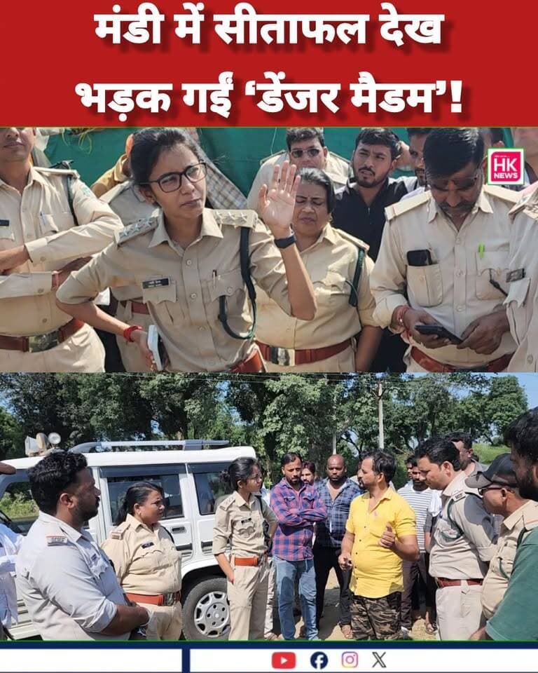 सीताफल मंडी में भड़कीं मैडम! Rajneesh Harvansh Singh Dinesh Rai Munmun किसान सत्याग्रह CDN