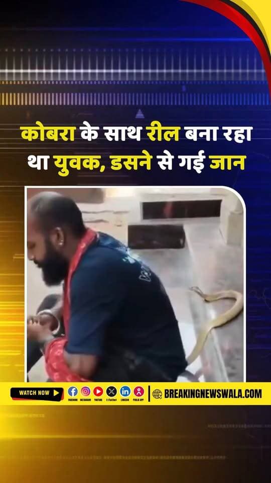 सांपों को रेस्क्यू करने वाले युवक की कोबरा के डसने से मौत, रील बनाने के दौरान हादसा, देखें! वायरल VIDEO
.
.
.
#SnakeRescue #CobraAttack #SnakeBite #ViralVideo #ReelsAccident #Cobra #SnakeRescuer #ViralNews #BreakingNews #AccidentNews #HindiNews #BreakingNewsWala #सांप_का_डसना #कोबरा #वायरल_वीडियो