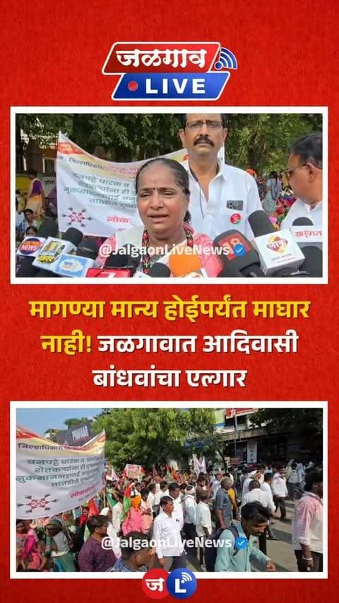 जळगाव लाईव्ह न्यूज । जळगाव जिल्ह्यातील आदिवासी बांधवांच्या गेल्या अनेक वर्षांपासून प्रलंबित असलेल्या विविध मागण्यांसाठी आज लोक संघर्ष मोर्चाच्या वतीने धडक मोर्चा काढण्यात आला. शिवतीर्थ मैदानापासून सुरू झालेला हा मोर्चा जिल्हाधिकारी कार्यालयापर्यंत काढण्यात आला. या मोर्चात जिल्ह्यातील आदिवासी बांधव मोठ्या संख्येने सहभागी झाले होते.
#jalgaon #jalgaonlive #jalgaonlivenews