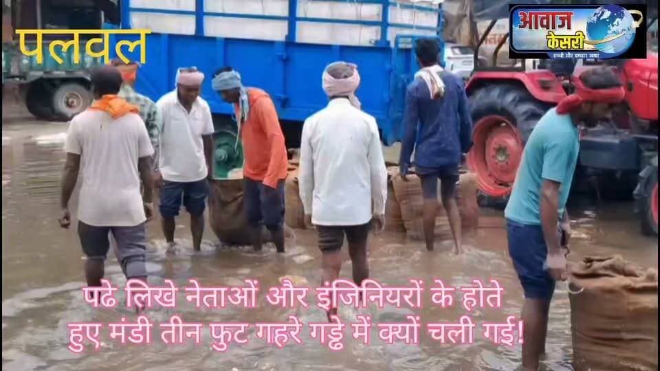 पलवल की अनाज मंडी लगभग 40 वर्षों में एक झील में तब्दील क्यों हुई? यह बहुत बड़ा सवाल है। नई अनाज मंडी के रूप में विकसित होने के समय में लगभग दो से ढाई फीट ऊंची हुआ करती थी ऐसा बताते हैं। और अब ढाई फीट ऊंची तो बहुत दूर की बात लगभग 3 फुट नीचे झील में तब्दील हो गई है। और ये तब हुआ है जब पलवल अनाज मंडी से सम्बंध रखने वाले नेताओं का ही राजनीति और सत्ता में हस्तक्षेप रहा है। अभी यह खबर देखें- विचारें -
और पॉजिटिव कमेंट करके बताएं।
#Palwal #PalwalMandi #PalwalNews #HaryanaNews #GrainMarket #AnajMandi #Waterlogging #MandiProblems #FarmersIssues #AgricultureNews #MarketInfrastructure #CivicIssues #PublicAccountability #PoliticalAccountability #GroundReality #DevelopmentIssues #HaryanaGovernment #FarmersVoice #AwaazKesari #VoiceOfThePeople #PublicInterest #SaveFarmers