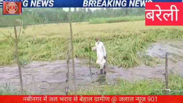 #BareillyNews #UPNews #KisanDard #JalBharav #FloodInUP #GroundReport #Aandata #IndianVillages #NewsUpdate
bareilly news nabinagar choubari news up flood news kisan ki samasya waterlogging in up villages gram pradhan nabinagar up news in hindi ground report uttar pradesh 30 years water problem village latest news hindi up administration negligence@