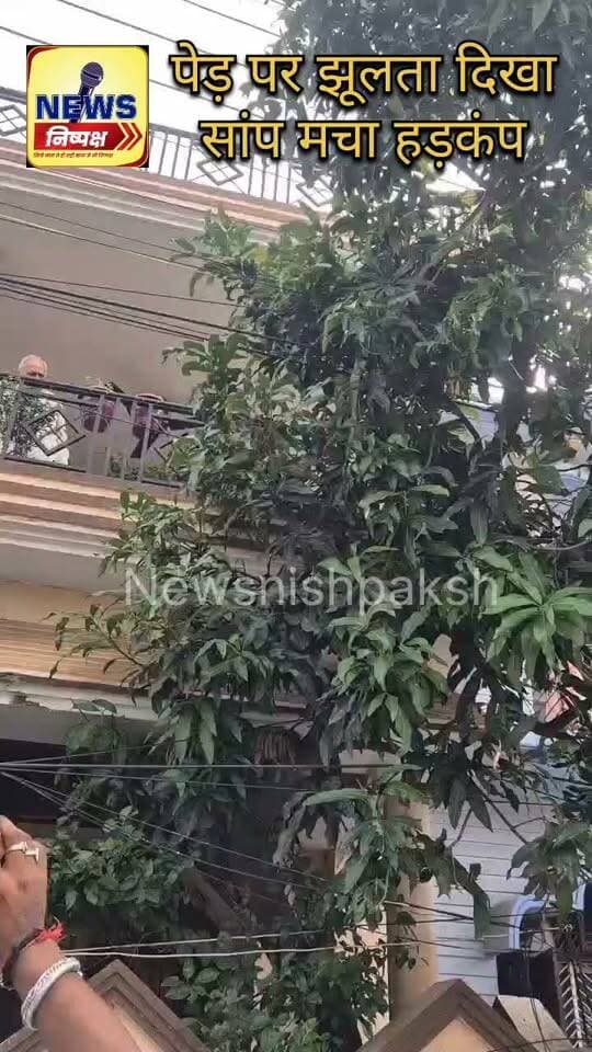Haldwani:- पेड़ पर झूलता दिखा सांप,मचा हड़कंप... खबर का लिंक कमेंट बॉक्स में