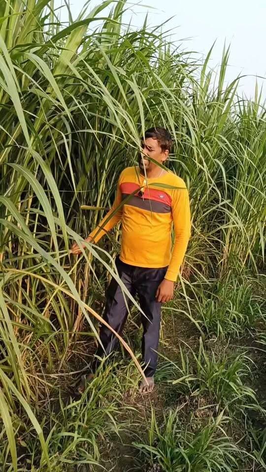🌱 Taiwan Gold Super Napier घास की खेती 🔥 एक गाँठ से हजार पौधे कैसे तैयार करें? | Kisan Sathi
😱 Taiwan Gold Super Napier की 1 गाँठ से 1000 पौधे कैसे बनाएं? 🌱 | Kisan Sathi
#TaiwanGoldNapier #SuperNapier #NapierGrass #KisanSathi