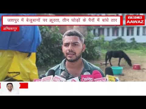 Aawaz@जशपुर में बेजुबानों पर क्रूरता, तीन घोड़ों के पैरों में बांधे तार