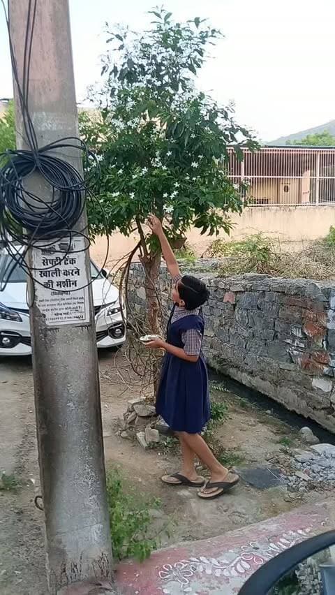 🙏🌺 मासूम बच्ची की माता रानी के प्रति अटूट आस्था, स्कूल जाने से पहले करती है मां की पूजा! 🌺🙏
📍 चित्तौड़गढ़ सुभाष कॉलोनी, गांधी नगर
नन्हे-नन्हे हाथों से माता रानी के लिए फूल तोड़ती यह मासूम बच्ची हर किसी का मन मोह रही है। 🌸❤️ नवरात्रि में उपवास रखकर मां की आराधना करना और रोज स्कूल जाने से पहले माता रानी की पूजा-अर्चना करना, इस नन्ही भक्त की अटूट श्रद्धा को दर्शाता है।