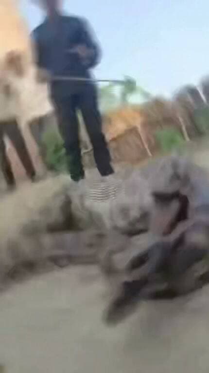 "प्रतापगढ़ में सोमवार सुबह 11 बजे एक अजगर ने नीलगाय के बच्चे को निगल लिया। जानकारी मिलते ही मौके पर ग्रामीणों की भीड़ जुट गई। कुछ ग्रामीणों ने घटना की सूचना सर्पमित्र को दी। मौके पर पहुंचे सर्पमित्र ने अजगर का रेस्क्यू किया।
"रेस्क्यू के दौरान अजगर ने पेट से नीलगाय के बच्चे को बाहर निकाला। बाहर निकलने के बाद उसकी मौत हो गई। वहां पर मौजूद कुछ ग्रामीणों ने पूरे घटना का वीडियो रिकॉर्ड कर लिया। इसके बाद सर्पमित्र ने अजगर को सुरक्षित पकड़ कर जंगल में छोड़ा। मामला पट्टी क्षेत्र के दिशिनी गांव की है।"
