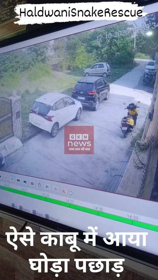 Haldwani_10 फीट लंबे घोड़ा पछाड़ सांप ने मचाई दहशत
हल्द्वानी। सुशीला तिवारी अस्पताल के पीछे एक घर में करीब 10 फीट लंबा घोड़ा पछाड़ सांप घुसने से परिवार में हड़कंप मच गया। अचानक घर में इतने बड़े सांप को देखकर परिजन घबरा गए और तत्काल स्नेक रेस्क्यू टीम से संपर्क किया।
अच्छी बात यहां यह रही सूचना मिलते ही बिना समय गंवाए तत्काल मौके पर पहुंचे स्नेक रेस्क्यूर सुभाष ने सावधानी पूर्वक सांप को काबू में कर सफल रेस्क्यू को अंजाम दिया, यहां उनकी जितनी तारीफ की जाए कम है, जिसके बाद परिवार और आसपास के लोगों ने राहत की सांस ली।
सीसीटीवी फुटेज में दिखाई दिया किस तरह झाड़ियां से निकलकर रेंगता हुआ व्यस्त सांप घर के भीतर तक प्रवेश कर गया गनीमत रही किसी को नुकसान नहीं हुआ। सांप की एंट्री और रेस्क्यू का वीडियो सोशल मीडिया पर वायरल हो रहा है।
स्थानीय लोगों के मुताबिक, क्षेत्र के खाली प्लॉटों में उगी घनी झाड़ियां सांपों के छिपने का ठिकाना बन रही हैं। बताया गया इस प्रजाति का सांप बहुत खतरनाक होता है जो फंदा मार कर 3 सेकंड के अंदर मजबूत से मजबूत इंसान की हड्डियों को तोड़ देता है।
आए दिन सांपों के घरों में घुसने से लोगों, खासकर बच्चों और बुजुर्गों की सुरक्षा को लेकर चिंता बढ़ रही है।
स्थानीय लोगों ने संबंधित विभाग से खाली प्लॉटों की झाड़ियों की सफाई कराने की मांग की है, ताकि इस तरह की घटनाओं पर अंकुश लगाया जा सके।
#HaldwaniSnakeRescue #ViralVideo
#gkmnews