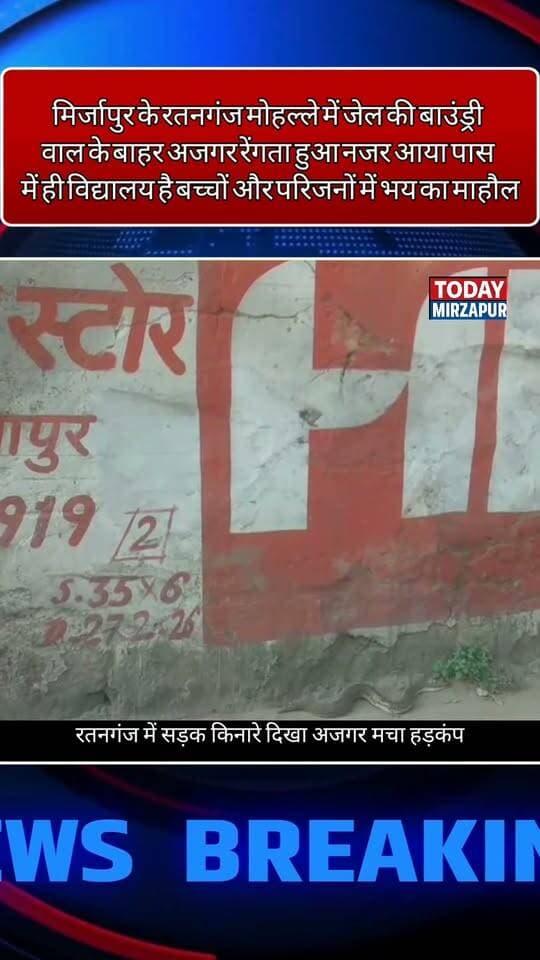मिर्ज़ापुर के रतनगंज में जेल की दीवार के पास अजगर दिखने से मचा हड़कंप। पास में ही स्कूल होने से बच्चों और परिजनों में भारी दहशत है। क्या वन विभाग को तुरंत कार्रवाई नहीं करनी चाहिए? #MirzapurNews #BreakingNews #UttarPradesh