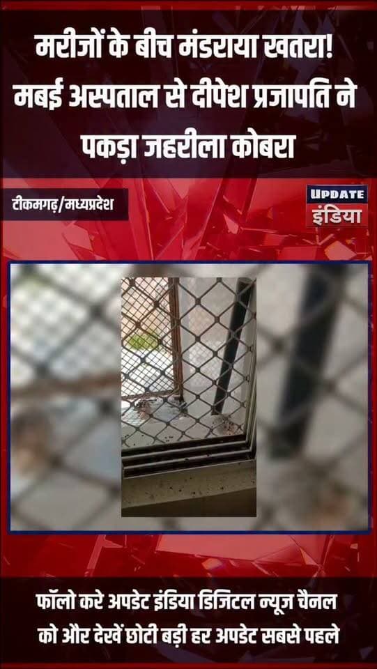 मरीजों के बीच मंडराया खतरा! मबई अस्पताल से दीपेश प्रजापति ने पकड़ा जहरीला कोबरा #news #mpnews #tikamgarh #वन्यजीव #cobrasnake हमारा टीकमगढ़ TheBharat/द भारत Public Tikamgarh Public Hindi panchayat- हिंदी पंचायत The Bundelkhand Top
