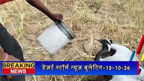 जैसलमेर में हाई वोल्टेज लाइन में फंसकर खेत में गिरा सागर पक्षी, भीषण गर्मी में रेस्क्यू का इंतजार