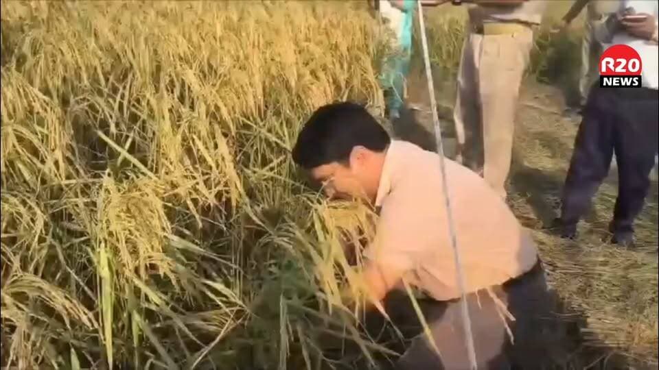 SAMBHAL UP एडीएम के बाद अब DM संभल अंकित खंडेलवाल का भी धान काटने का वीडियो हुआ Viral
Viral Video DM Sambhal
#iasofficershortvideo #chandausiwalevlog #chandausi
