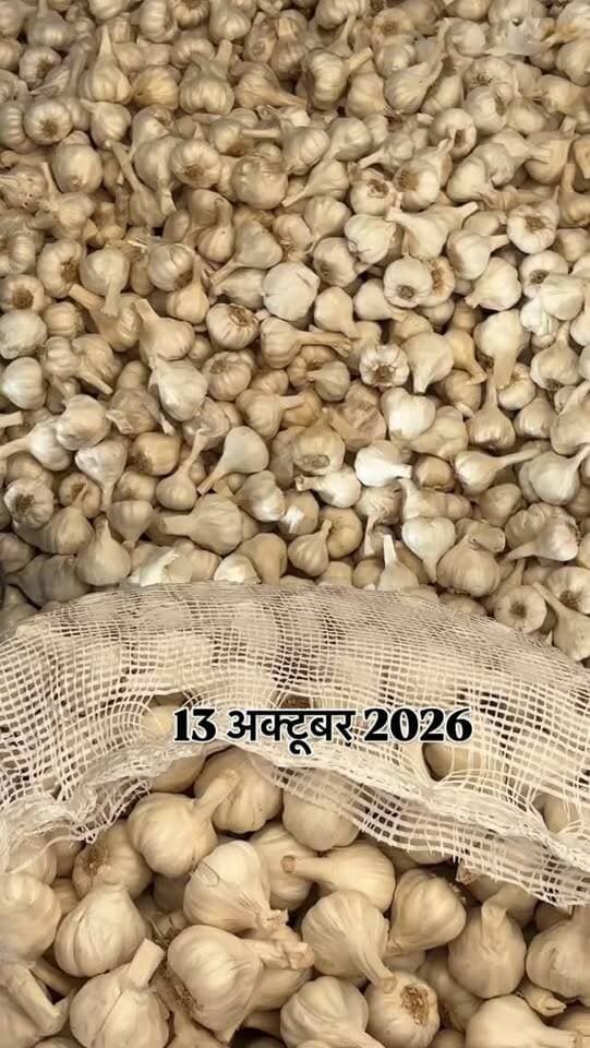 #viralreels #viralreelsvideo #trending #reelkarofeelkaro #mandibhavkalapipal