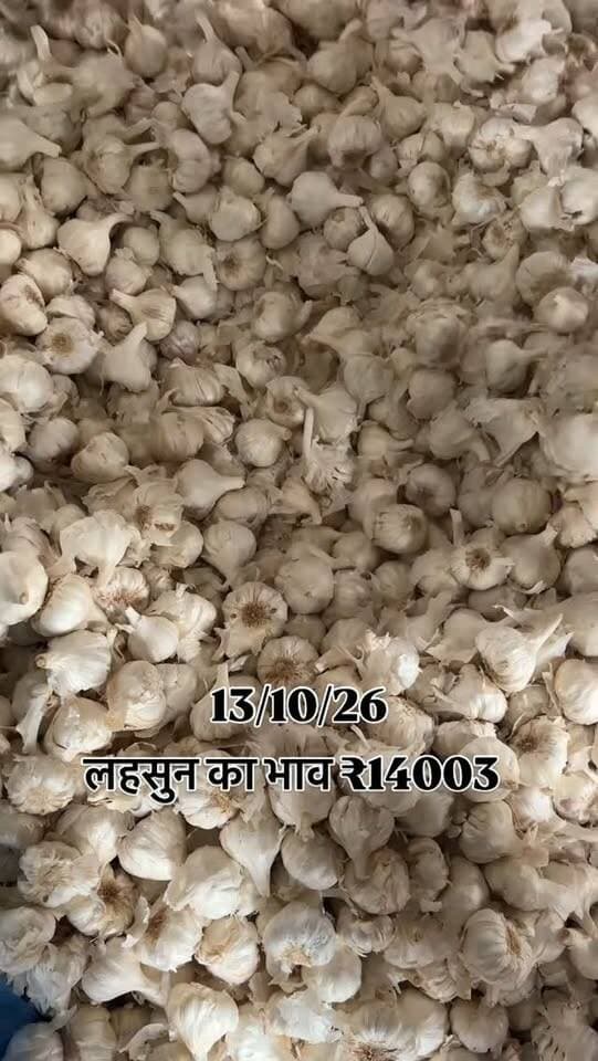 #viralreels #viralreelsvideo #trending #reelkarofeelkaro #mandibhavkalapipal