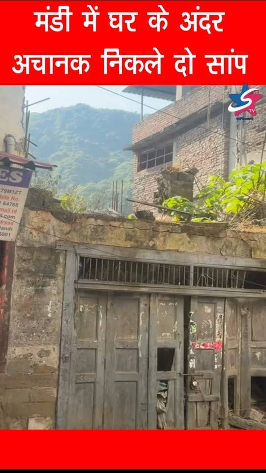 मंडी में घर के अंदर अचानक निकले दो सांप,मचा हड़कंप