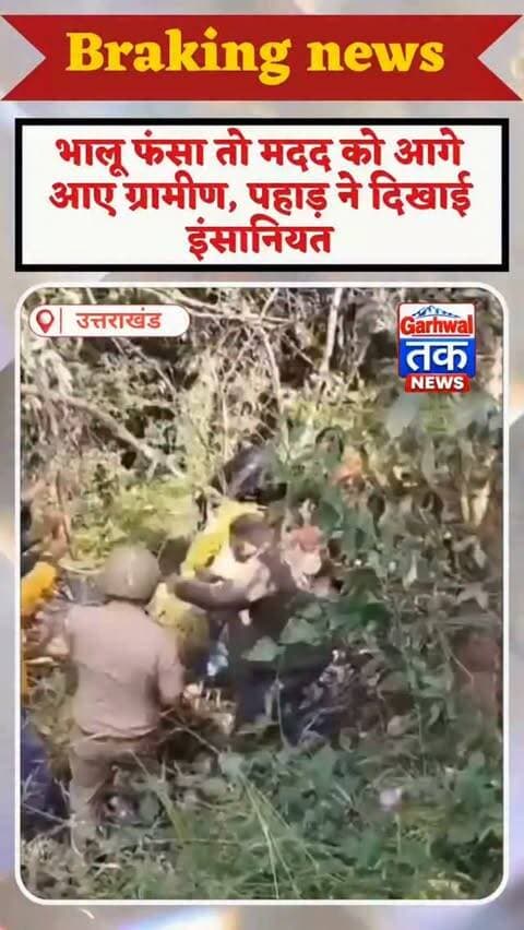 उत्तराखंड के पहाड़ों में दिखी करुणा, तारों में फंसे भालू को बचाया