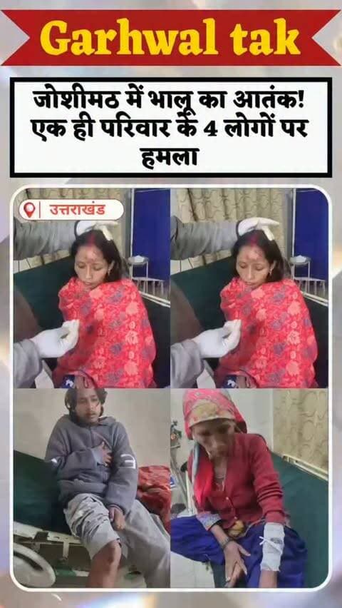 जोशीमठ में आधी रात को भालू का हमला, गंभीर हालत में हायर सेंटर रेफर