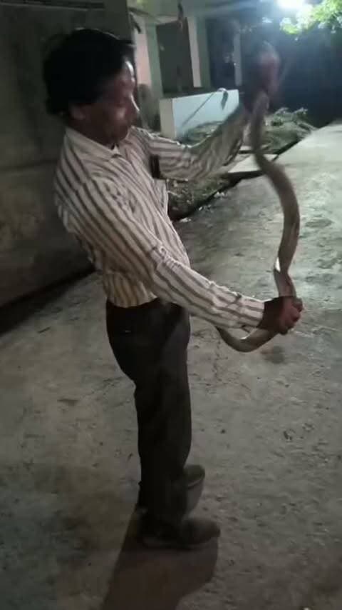 🐍 रात 1:30 बजे भी सर्प रेस्क्यू में जुटे रमेश चंद्र!
नरपत की खेड़ी गांव में आधी रात को मिला बेहद जहरीला रसल वाइपर सांप। सूचना मिलते ही सर्प प्रेमी रमेश चंद्र धनेतकलां ने मौके पर पहुंचकर सांप का रेस्क्यू किया और उसे सुरक्षित जंगल में छोड़ दिया। 🌿🙏
दिन हो या आधी रात, वन्यजीवों की सुरक्षा के लिए इनकी तत्परता ही लोगों के भरोसे की वजह है। ❤️🐍
#HelloChittorgarh #SnakeRescue #RameshChandra #RussellsViper #सर्पप्रेमी चित्तौड़गढ़ वन्यजीव_संरक्षण