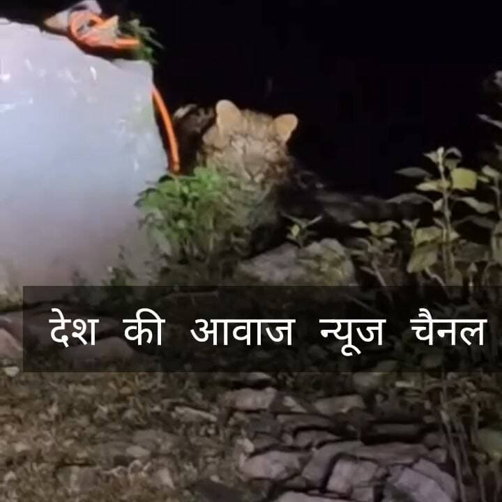 जिला सिरमौर के शिलाई क्षेत्र की पाब-मानल सड़क पर दिखा तेंदुआ
====
पांवटा साहिब : देर रात सड़क किनारे चट्टान के पीछे बैठा दिखा तेंदुआ, गाड़ी की लाइट में कैद हुआ दुर्लभ नज़ारा, वीडियो में साफ देखा जा सकता है कि तेंदुआ काफी देर तक एक ही जगह पर बैठा रहा। स्थानीय लोगों में दहशत का माहौल है। अपील: रात के समय पाब-मानल मार्ग पर अकेले पैदल न चलें, सतर्क रहें।
#Sirmaur #Shillai #PabManal #Leopard #HimachalNews #DeshKiAwazNews