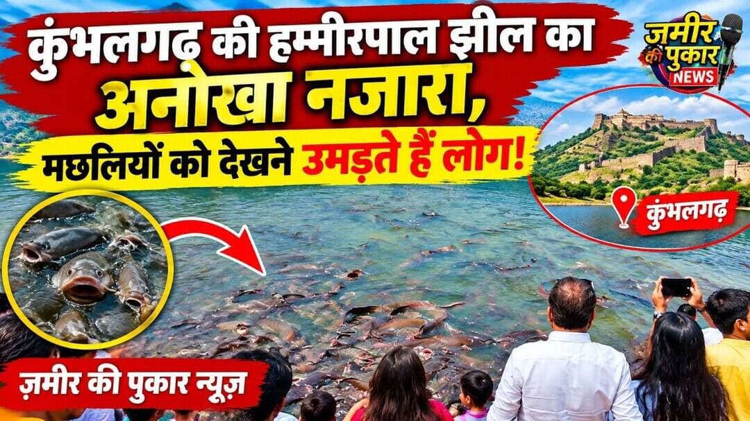 कुंभलगढ़ की हम्मीरपाल झील का अनोखा नज़ारा, मछलियों को देखने उमड़ते हैं लोग#न्यूज#बांसवाड़ा #राजस्थान