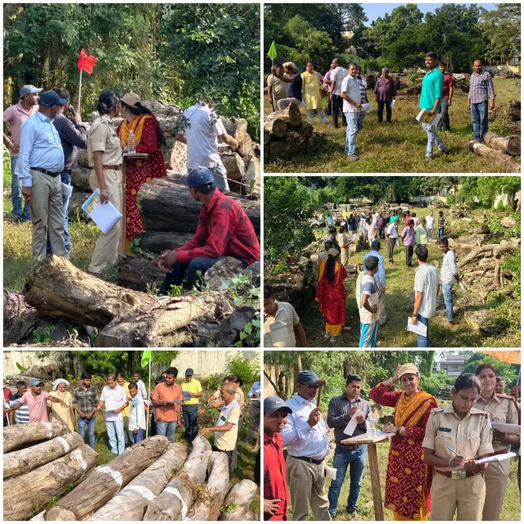 कटिहार में वन विभाग की लकड़ियों की नीलामी से सरकार को मिला 15 लाख का राजस्व, भेड़िया रहिका स्थित वन विभाग कार्यालय में 62 लॉट लकड़ियों की लगी बोली, 25 प्रतिभागियों ने लिया हिस्सा, 35 हजार से डेढ़ लाख रुपये तक में बिकी लकड़ियों की विभिन्न खेप, पारदर्शी प्रक्रिया के तहत हुआ सरकारी डाक