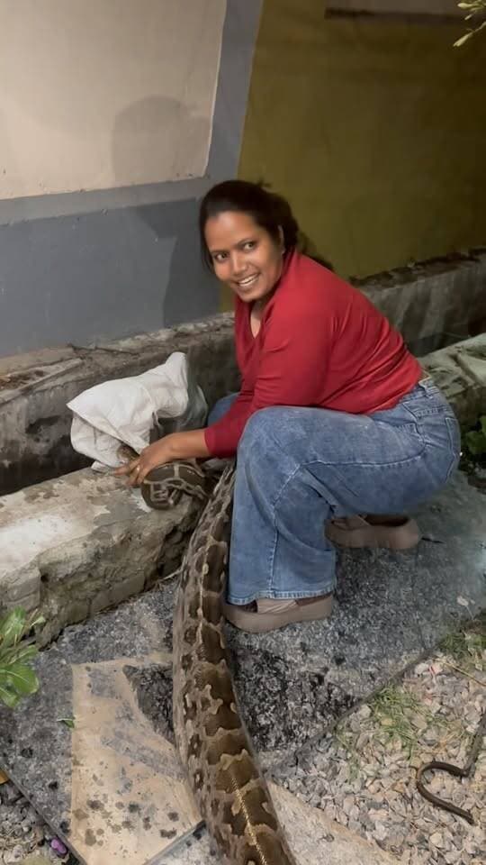 #snake # udaipur #ajagar #rescue 🐍🐍🐍🐍