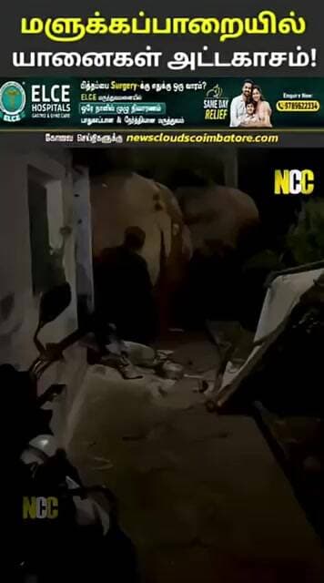 வால்பாறை அருகே காட்டு யானைகள் அட்டகாசம்! அங்கன்வாடி மையம், வீடு சேதம் | Elephant Attack