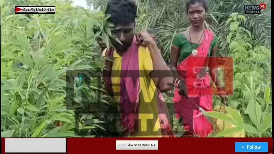 वीडियो गिरिडीह जिले में देवरी प्रखंड के भेलवाघाटी पंचायत के बरमसिया गांव में विकास की हकीकत, जहां सड़क की सुविधा ना होने के कारण मरीज़ को खाट पर उठाकर सड़क तक ले जाया गया #viralnews2026
#viewersfriendsfollowers #apnachatro
#facebookreelsviral
#citynewsgiridh
#अपनाtime #giridhisp #giridihupdate
#giridih_jharkhand
#GiridihNews #giridhidc