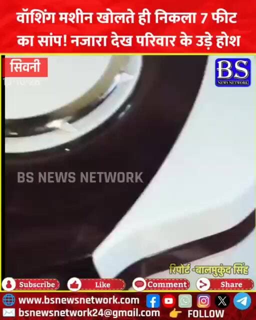 Seoni News: वॉशिंग मशीन खोलते ही निकला 7 फीट का सांप! नजारा देख परिवार के उड़े होश