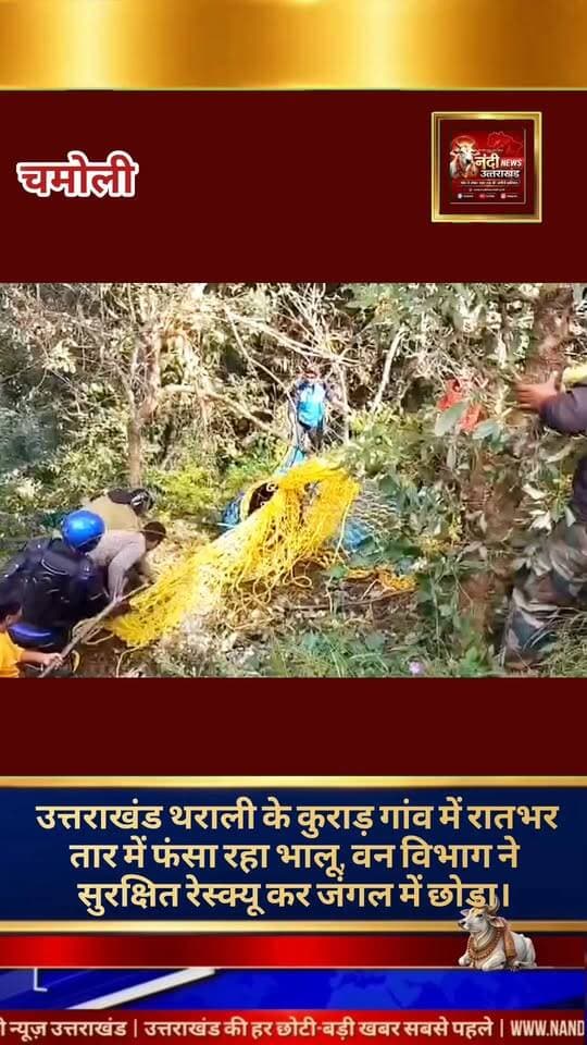 उत्तराखंड के चमोली जिले के थराली अंतर्गत कुराड़ गांव से वन्यजीव संरक्षण की एक राहत भरी खबर सामने आई है। यहाँ एक भालू रातभर तारों के जाल में फंसकर खुद को निकालने के लिए कड़ा संघर्ष करता रहा। सुबह होते ही स्थानीय ग्रामीणों ने इसकी सूचना तुरंत वन विभाग को दी।
सूचना मिलते ही वन विभाग की टीम मुस्तैदी दिखाते हुए तुरंत मौके पर पहुंची और सूझबूझ के साथ रेस्क्यू ऑपरेशन शुरू किया। टीम ने भालू को सुरक्षित रूप से जाल से मुक्त कराया और उसे वापस उसके प्राकृतिक आवास जंगल में सुरक्षित छोड़ दिया। समय रहते की गई इस त्वरित कार्रवाई से बेजुबान वन्यजीव की जान बचा ली गई, जिसकी हर तरफ सराहना हो रही है।