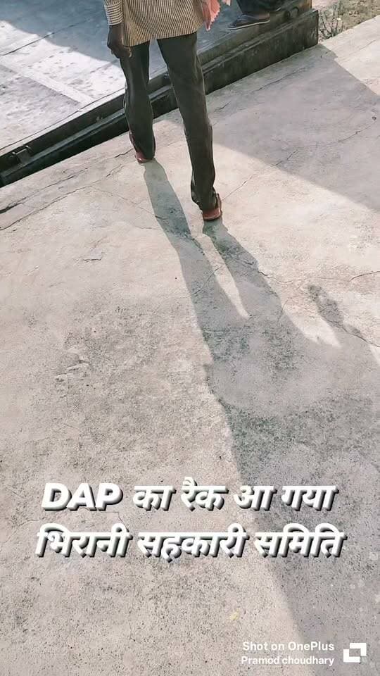 DAP рдЦрд╛рдж рдХрд╛ рд░реИрдХ рдЖ рдЧрдпрд╛ рд╣реИ рднрд┐рд░рд╛рдиреА рд╕рд╣рдХрд╛рд░реА рд╕рдорд┐рддрд┐ рдореЗрдВ