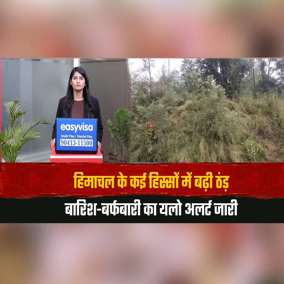 हिमाचल के कई हिस्सों में बढ़ी ठंड़
बारिश-बर्फबारी का यलो अलर्ट जारी
#HimachalWeather #ColdWave #RainAlert #SnowfallAlert #YellowAlert #WeatherUpdate #HimachalPradesh #RainAndSnow #HimachalNews #thesummernewshimachal