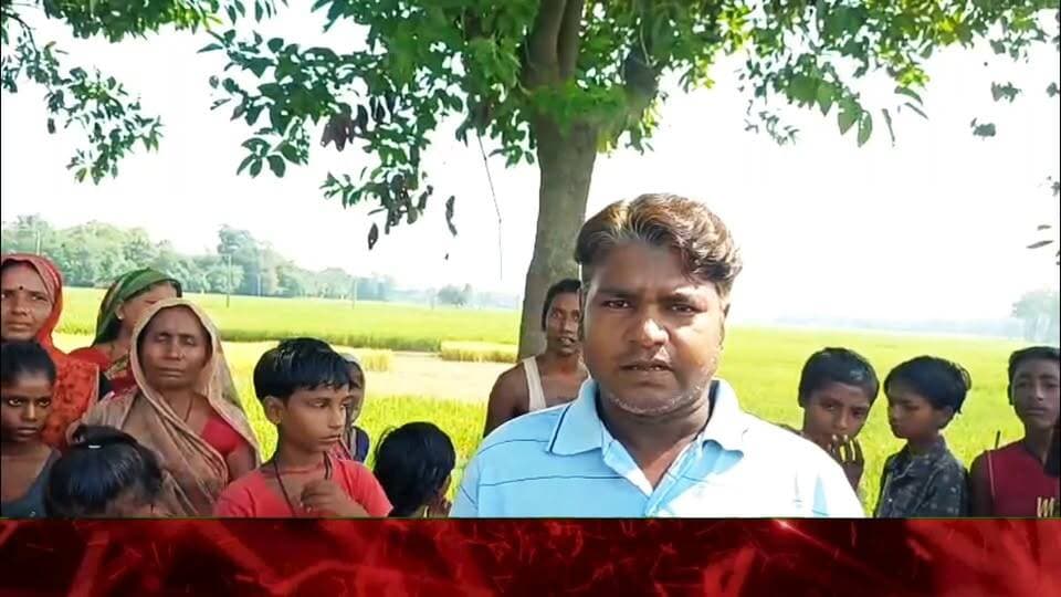 भेलवा में अद्भुत चमत्कार!
🙏 दो पेड़ों में भगवान की प्रतिमाएं!
❓ आस्था या प्रकृति का रहस्य?
नोट:सदर प्रखंड क्षेत्र के भेलवा गढ़िया जाने वाली सड़क किनारे बरहम बाबा स्थान से 100 मीटर की दूरी पर रहस्यमई चमत्कार,भेलवा में अद्भुत नजारा! दो पेड़ों में भगवान की प्रतिमाएं देख लोग हैरान, आस्था या प्रकृति का चमत्कार? इलाके में बना चर्चा का विषय