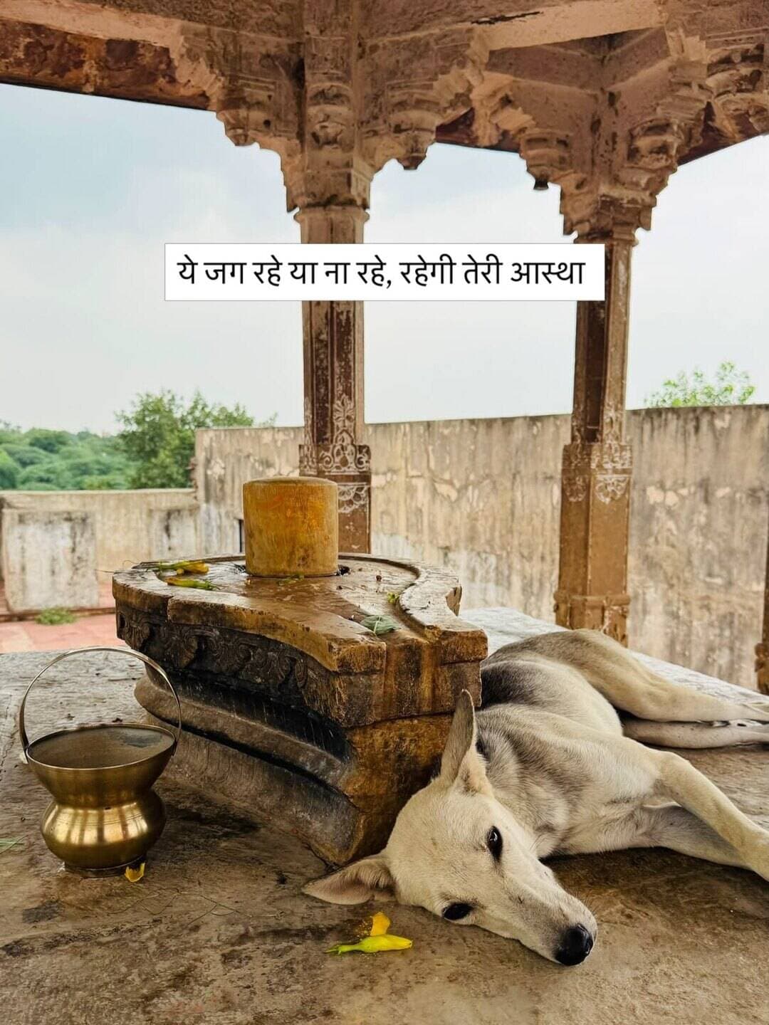 महादेव 🔱
Blessed your feed with @kashiwala65 be a Banaras addict and make as your dealer.
<nis:link nis:type=tag nis:id=kashi nis:value=kashi nis:enabled=true nis:link/> <nis:link nis:type=tag nis:id=mahadev nis:value=mahadev nis:enabled=true nis:link/> <nis:link nis:type=tag nis:id=mahakal nis:value=mahakal nis:enabled=true nis:link/> <nis:link nis:type=tag nis:id=pashupatinath nis:value=pashupatinath nis:enabled=true nis:link/> <nis:link nis:type=tag nis:id=instagram nis:value=instagram nis:enabled=true nis:link/>