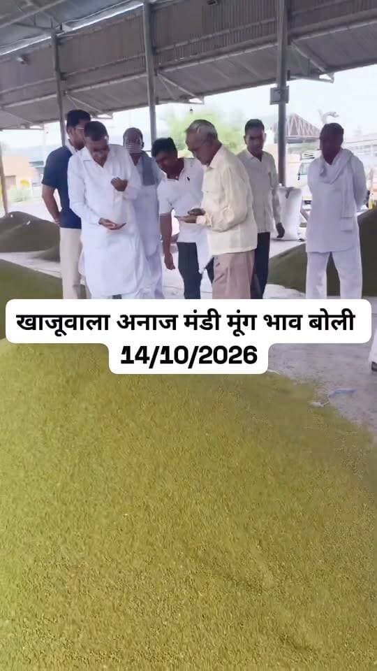खाजूवाला मूंग भाव ये ढेरी 8670 रुपए बिकी
#खाजूवाला #किसान #मंडीभाव #मूंगभाव #ग्वारभाव