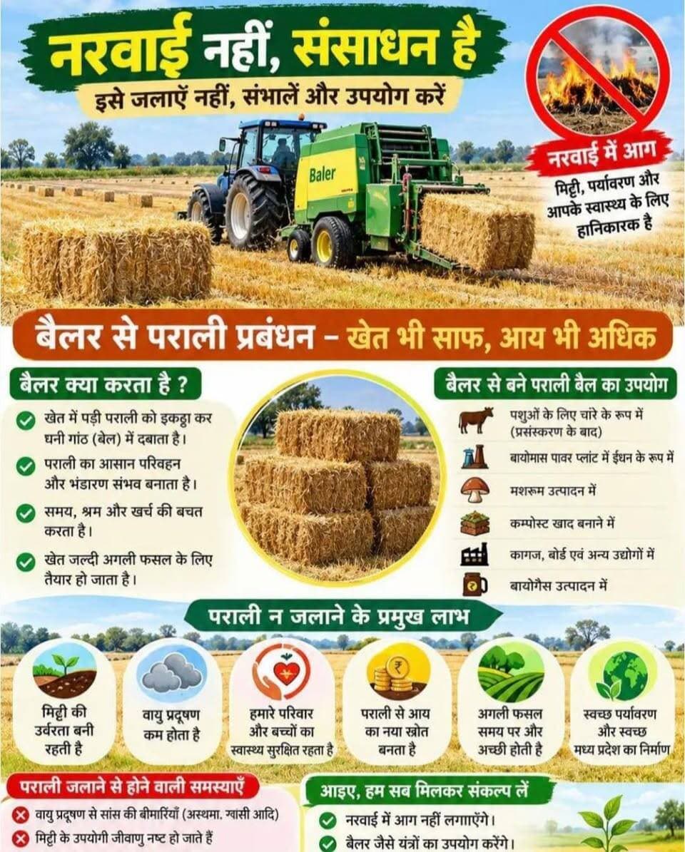 नरवाई में आग न लगाएं, आधुनिक यंत्रों से करें प्रबंधन ,कृषि विभाग ने जारी किए जागरूकता पोस्टर
---
जिले में कम वर्षा के कारण जल संकट की स्थिति को देखते हुए किसान कल्याण तथा कृषि विकास विभाग ने कृषकों से नरवाई (फसल अवशेष) में आग न लगाने की अपील की है। कृषि विभाग द्वारा बताया कि खरीफ फसल की कटाई के बाद रबी फसलों गेहूं एवं चना की बुवाई का समय आ रहा है। इस दौरान कृषकों द्वारा खेतों में नरवाई जलाने की घटनाएं बढ़ जाती हैं, जिससे मिट्टी की उर्वरता, उपयोगी सूक्ष्म जीवाणु, नमी एवं पर्यावरण को गंभीर क्षति पहुंचती है तथा वायु प्रदूषण से जन-स्वास्थ्य प्रभावित होता है। नरवाई में आग लगाना हानिकारक एवं दंडनीय अपराध है।
कृषकों को जागरूक करने के उद्देश्य से विभाग द्वारा 4 जागरूकता पोस्टर तैयार किए गए हैं -
1. जल संकट में सुपर सीडर : नमी का रक्षक, समृद्धि का आधार
2. नरवाई में आग ना लगायें - मल्चर अपनायें
3. नरवाई नहीं, संसाधन है - बेलर से पराली प्रबंधन
4. कंबाइन हार्वेस्टर के साथ स्ट्रॉ मैनेजमेंट सिस्टम (SMS) अपनाएँ
सहायक कृषि यंत्री, खंडवा ने बताया कि इन पोस्टरों के माध्यम से किसानों को नरवाई जलाने के स्थान पर सुपर सीडर, मल्चर, बेलर एवं एसएमएस युक्त कंबाइन हार्वेस्टर जैसे आधुनिक कृषि यंत्रों के उपयोग के लिए प्रेरित किया जा रहा है। इससे मिट्टी की नमी बनी रहेगी और उर्वरता में सुधार होगा।
Jansampark Madhya Pradesh
Department of Agriculture, Madhya Pradesh
#khandwa