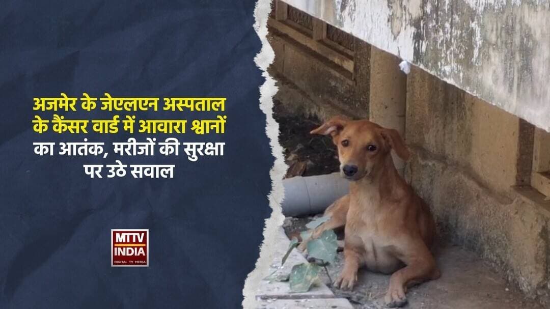 #अजमेर के जेएलएन अस्पताल के कैंसर वार्ड में आवारा श्वानों का आ#क | MTTV