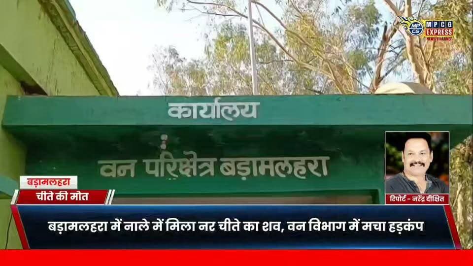 बड़ामलहरा में नाले में मिला नर चीते का शव, वन विभाग में मचा हड़कंप