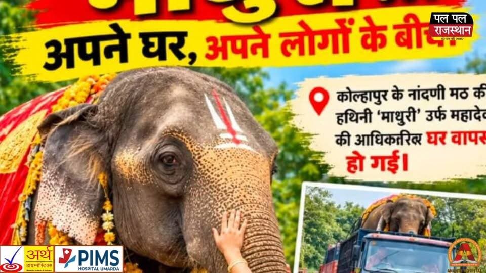 उदयपुर के आवरी माता मंदिर के हाथी मोती की घर वापसी को लेकर एक बार फिर मांग तेज हो गई है। मोती के महावत ने उदयपुर की जनता से भावुक अपील करते हुए उसकी वापसी के प्रयासों में सहयोग मांगा है।
करीब एक साल पहले अस्वस्थ होने के कारण मोती को बेहतर इलाज के लिए वन्तारा ले जाया गया था। अब वन्तारा की टीम ने वीडियो जारी कर उसकी सेहत में सुधार की जानकारी दी है। हालांकि, टीम ने मोती के पुराने खानपान और देखभाल को लेकर चिंता जताई है।
वहीं, महावत का कहना है कि वे मोती की देखभाल, संतुलित भोजन और स्वास्थ्य का पूरा ध्यान रखने के लिए तैयार हैं। कोल्हापुर की हथनी माधुरी की वापसी का उदाहरण भी इस मांग को नई उम्मीद दे रहा है।
अब सवाल है कि क्या उदयपुरवासी मोती की वापसी की मुहिम में साथ देंगे? क्या संबंधित पक्ष उसकी सुरक्षित वापसी पर सहमति बना पाएंगे?
देखिए इस खबर की पूरी जानकारी Pal Pal Rajasthan पर।
#UdaipurNews #MotiHathi #MotiElephant #AvariMataMandir #Vanatara #VantaraNews #RajasthanNews #Udaipur #मोती #हाथीमोती #मोतीकीवापसी #उदयपुरसमाचार #आवरीमातामंदिर #महावत #भावुकअपील #ElephantCare #ElephantWelfare #ElephantNews #MadhuriElephant #KolhapurNews #WildlifeConservation #UdaipurBreakingNews #RajasthanLatestNews #HindiNews #UdaipurLocalNews #MotiReturn #PalPalRajasthan #PalPalNewsRajasthan #RajasthanHindiNews #LatestNews