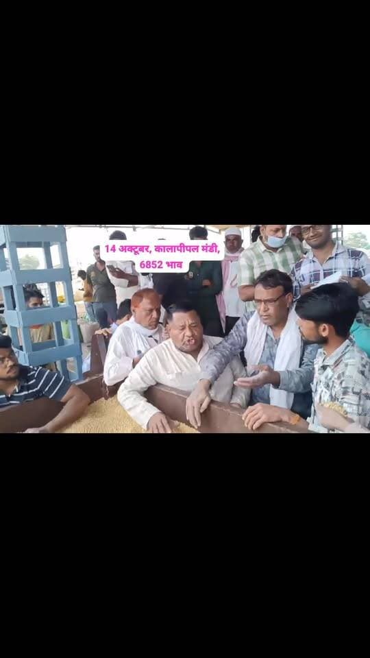 #viralreels #viralreelsvideo #trending #reelkarofeelkaro #mandibhavkalapipal