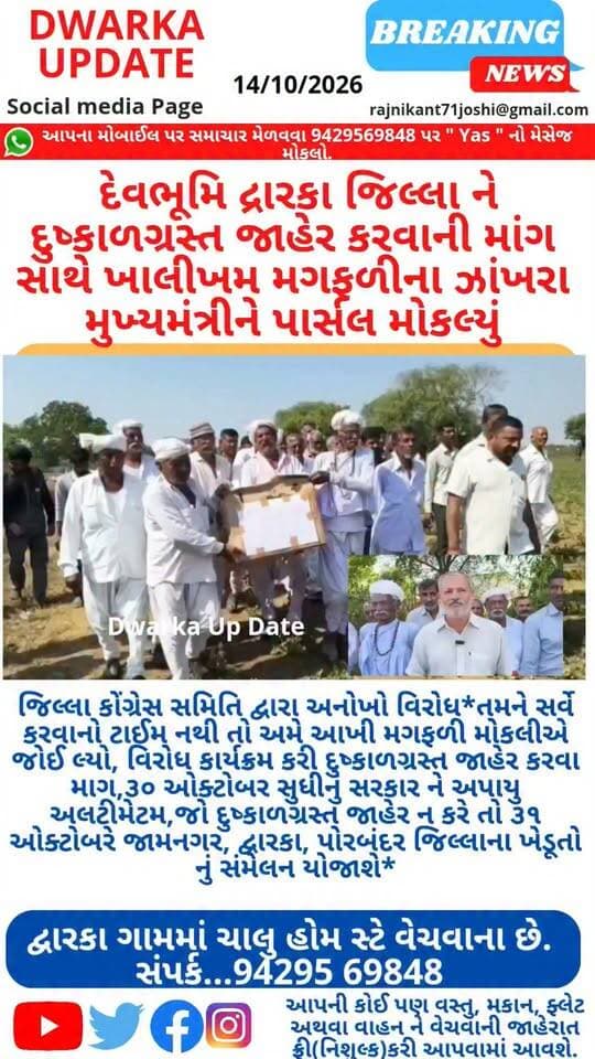 દ્રારકા બ્રેકિંગ. *દેવભૂમિ દ્રારકા જિલ્લા ને દુષ્કાળગ્રસ્ત જાહેર કરવાની માંગ સાથે ખાલીખમ મગફળીના ઝાંખરા મુખ્યમંત્રીને પાર્સલ મોકલ્યું...
દુષ્કાળગ્રસ્ત જાહેર ન કરે તો ૩૧ ઓક્ટોબરે જામનગર, દ્વારકા, પોરબંદર જિલ્લાના ખેડૂતો નું સંમેલન યોજાશે*
*ખેડૂતોના પાક ધિરાણ માફ, ઘાસચારા વિતરણ કેન્દ્રો ચાલુ કરવા માંગ સૌની યોજનાથી જિલ્લાના ડેમો ભરવા માંગ, *તાત્કાલિક રાહતકામો ચાલુ કરવા માંગ.
આપના અમૂલ્ય મંતવ્યો આવકાર્ય છે.
Dwarka Up Date@9429569848.
દ્વારકા જિલ્લાના મહત્વના સમાચારો નિહાળવા અમારા પેજને ફોલો કરી લાઈક સેર અને સબસ્ક્રાઈબ કરો..
#okhamandal_state #devbhumidwarkadistrict #dwarkanagarpalika #palbhaiambaliya