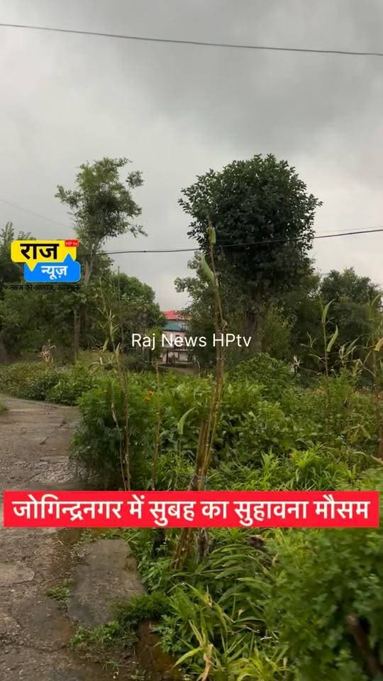 जोगिन्द्रनगर में सुबह का सुहावना मौसम
#nonfollowersfriend #jogindernagar_mandi_himachal #viralreels #raining #beautifulweathertoday