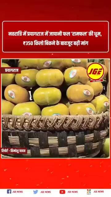 नवरात्रि में प्रयागराज में जापानी फल ‘रामफल’ की धूम, ₹350 किलो बिकने के बावजूद बढ़ी मांग #prayagraj