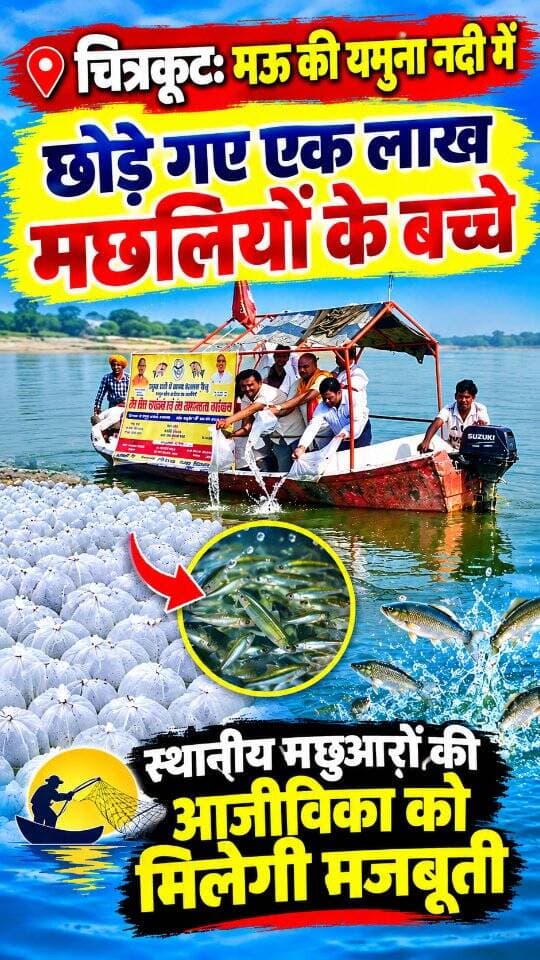 चित्रकूट: मऊ की यमुना नदी में छोड़े गए 1 लाख मछलियों के बच्चे, स्थानीय मछुआरों की आजीविका को मिलेगी मजबूती! 🐟✨
#dainiknewssach #viralvideo #trendingreels #facebook #चित्रकूट