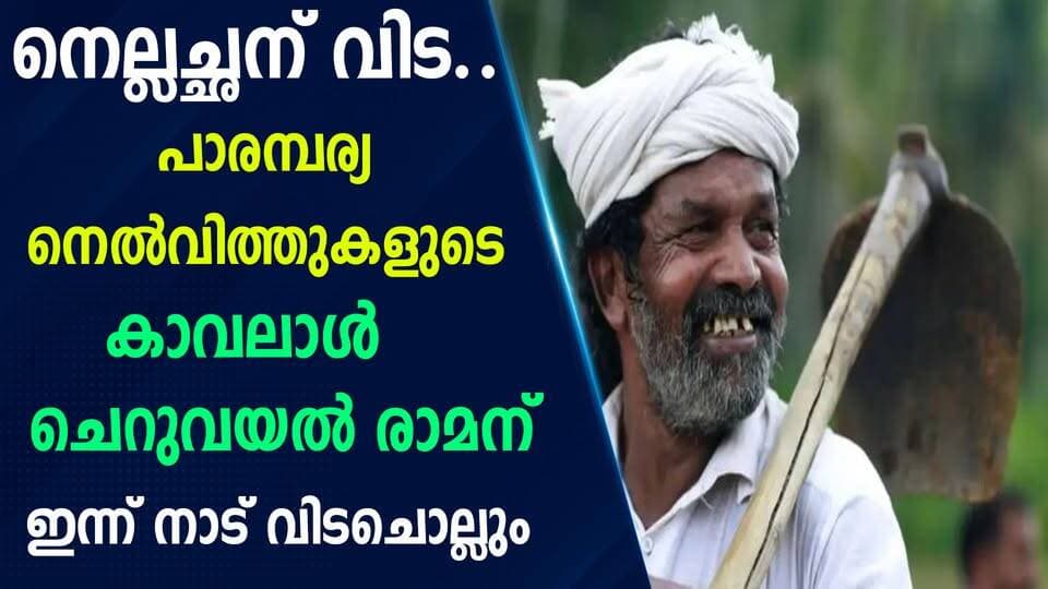 നെല്ലച്ഛന് വിട… പാരമ്പര്യ നെൽവിത്തുകളുടെ കാവലാൾ ചെറുവയൽ രാമന് ഇന്ന് നാട് വിടചൊല്ലും|PRIME NEWS KERALA