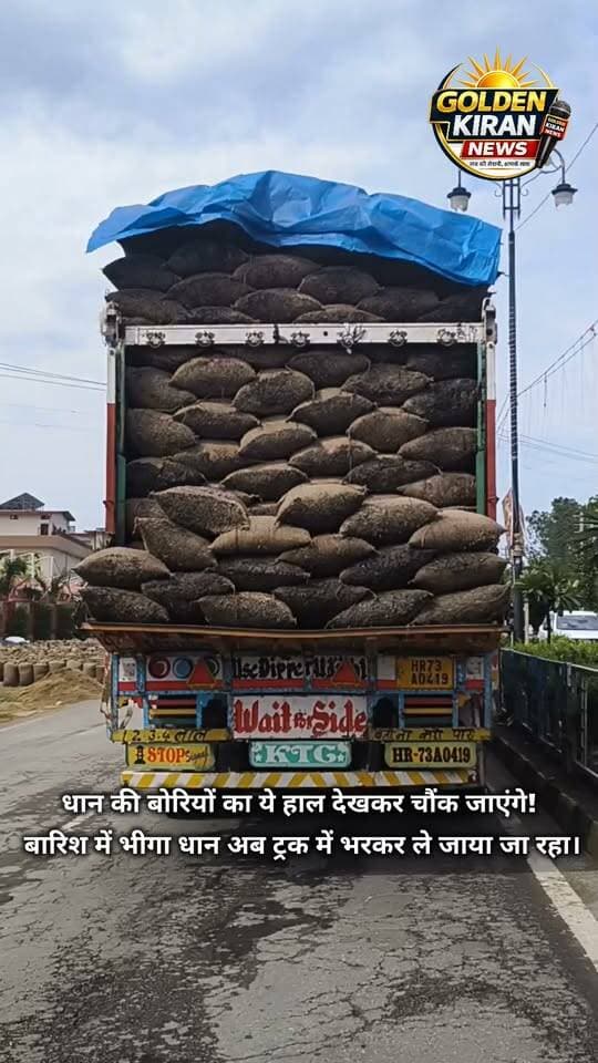 धान की बोरियों का ये हाल देखकर चौंक जाएंगे! बारिश में भीगा धान अब ट्रक में भरकर ले जाया जा रहा।