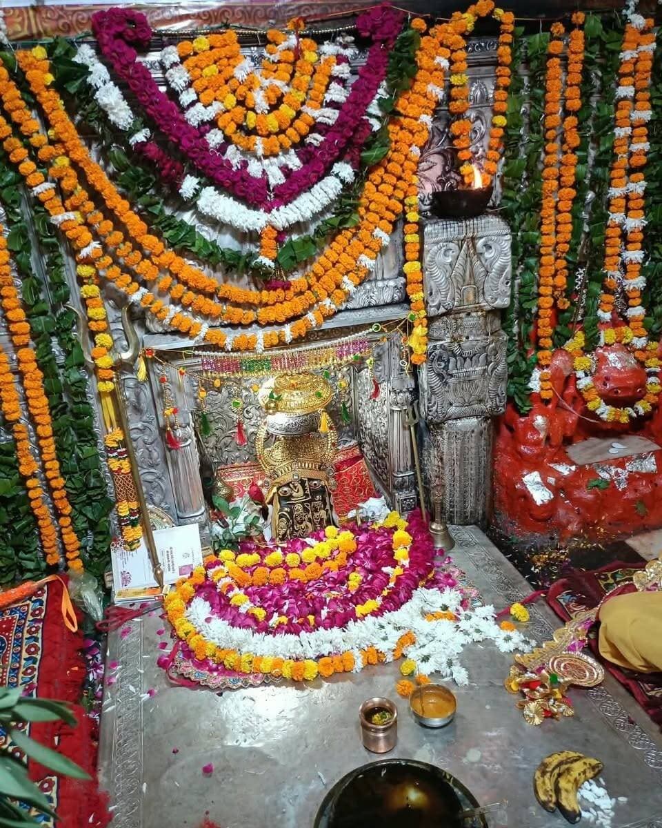 आज के दिव्य दर्शन जय मां मनसा देवी 🙏🙏🙏