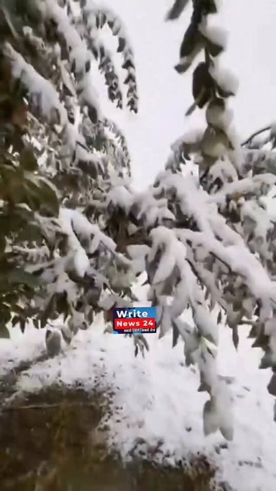 लाहुल-स्पीति: राशेल गांव में भारी बर्फबारी के बाद सेब की फसल को भारी नुकसान की आशंका, बागवान चिंतित