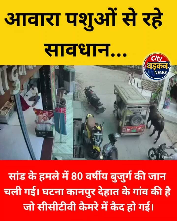 सीसीटीवी फुटेज में देखे कैसे एक बुजुर्ग को सड़क पर चल रहे सांड को डंडे से डराना पड़ गया महंगा। सांड के हमले में 80 वर्षीय बुजुर्ग की जान चली गई। घटना कानपुर देहात के गांव की है जो सीसीटीवी कैमरे में कैद हो गई।